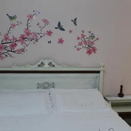 La Casa Sulla Dolina